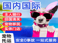 衢州航空托运国际宠物托运 【国
